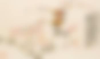 Pair of birds on plum branch (preview)
