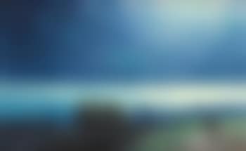 View of a bay bathed in moonlight (preview)