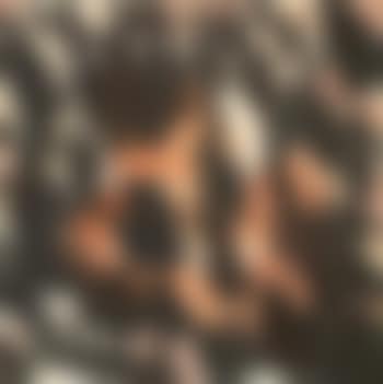 Sans titre (preview)