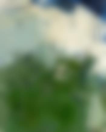 Sans titre (preview)