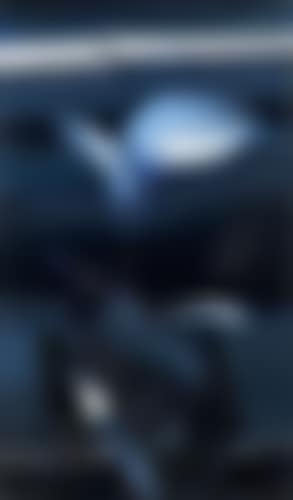 Alaska (preview)