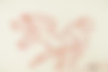 Untitled (Horses) (preview)