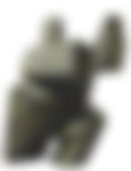 Taichi Series - Advancing Step Barricade Moving Punch (preview)