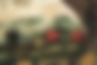 Cibulan (preview)