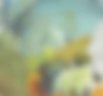 Green evening (preview)