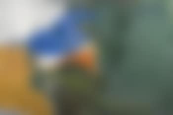 Grenouille (preview)