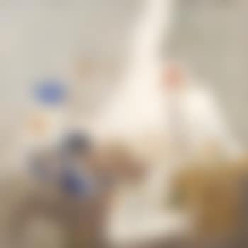 Les instruments du peintre (preview)