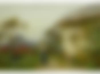 Woman feeding chicks in a cottage garden (preview)