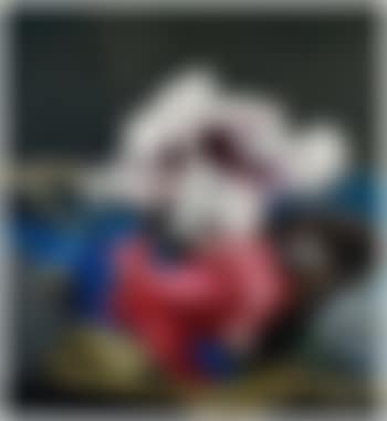 Contemplation (Les evasions manquees) (preview)