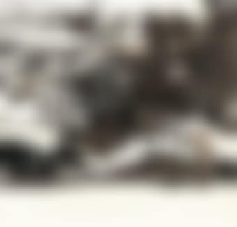 Untitled (preview)