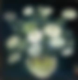 Chrysanthemum (preview)