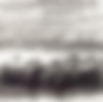 Flying Geese (preview)