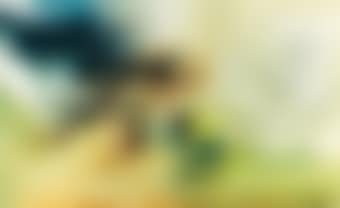 Untitled (preview)
