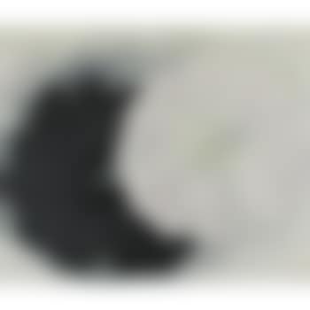 Black Petunia And White Morning Glory I (preview)