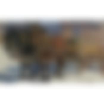 Team And Wagon (preview)