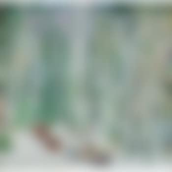 Manchurian Forest (preview)