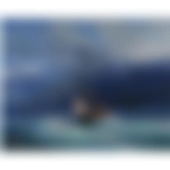 Along The Coast (preview)