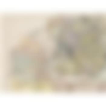 Flowers On Capitals (preview)