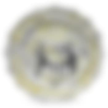 Combattenti (preview)