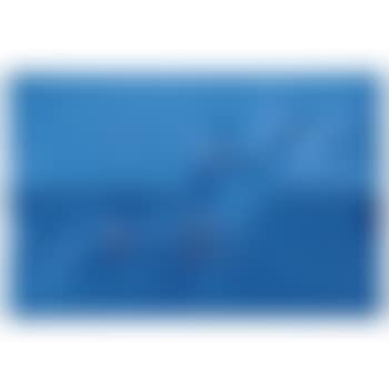 Blu (preview)