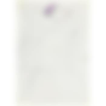 Disegno (preview)