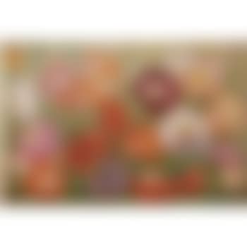 Poppies And Butterflies (preview)