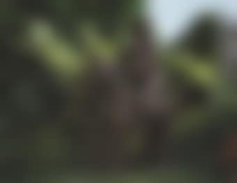 Woman On a Horse (preview)