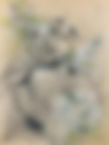 Femme au tricome (preview)