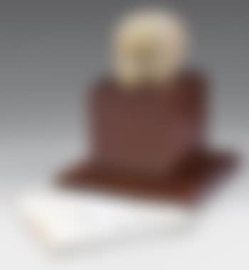 Tête maison anthropomorphe (preview)