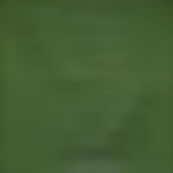Verde (preview)