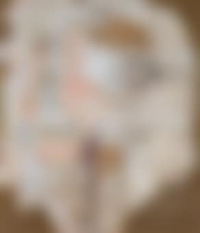 Palinsesto 5 (preview)