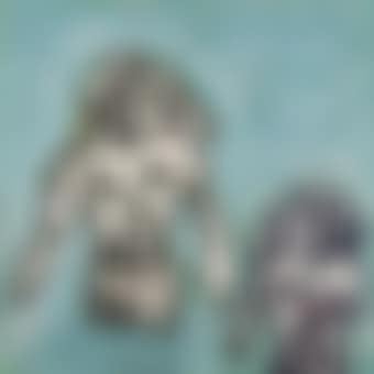 Bathers (preview)