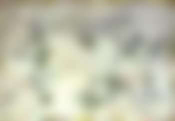 Zeros (preview)