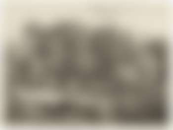 Waldige Landschaft mit See (preview)