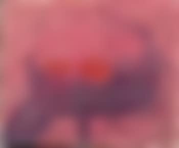 Composition (preview)