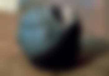 Concetto Spaziale, Natura (preview)