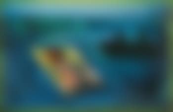 Nude through the night window (preview)