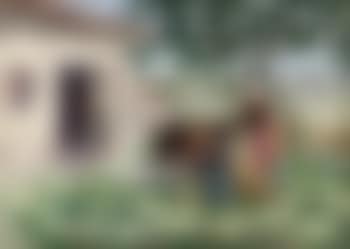 Les gardiennes de chèvres (preview)