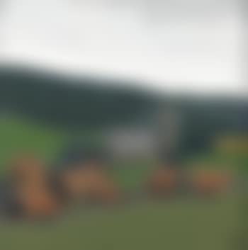 Church between Holt and Clay (preview)