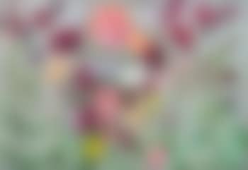 Poppies (preview)