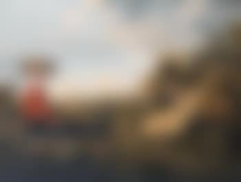 A shepherdess with her sheep in an extensive landscape, a view to a town beyond (preview)