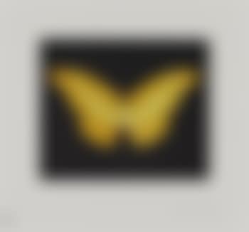 Yellow Butterfly (small) (preview)