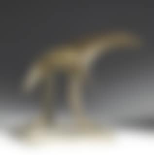 Bird (preview)
