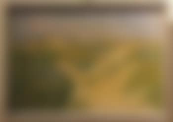 Landscape (preview)