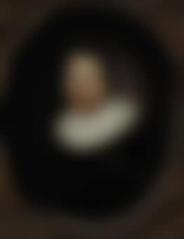 Portrait of a gentleman, bust-length (preview)