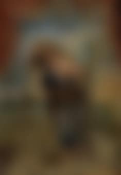 An Allegory of Fortitude (preview)
