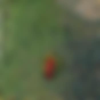 Red figure (preview)