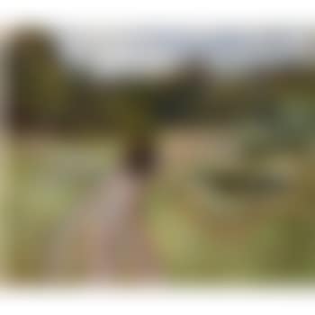 To På Vei Mot Skogen (Couple On The Path To The Forest) (preview)