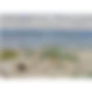 Piger På Stranden, Båstad (Girls On The Beach, Båstad) (preview)