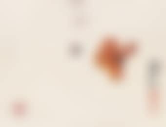 Butterfly and Bee (preview)